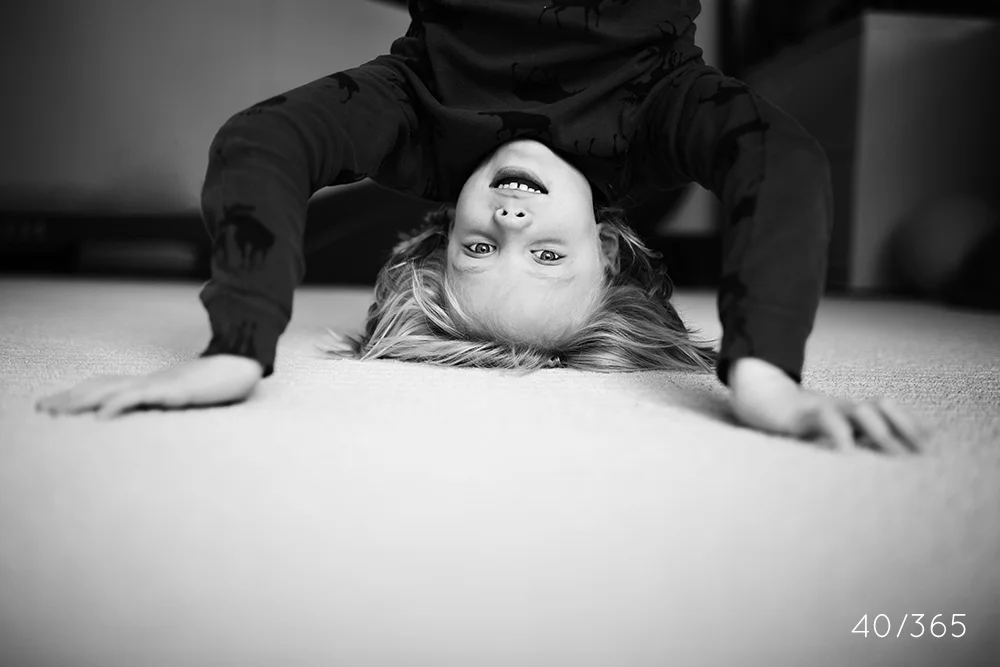 day_40_2013.jpg