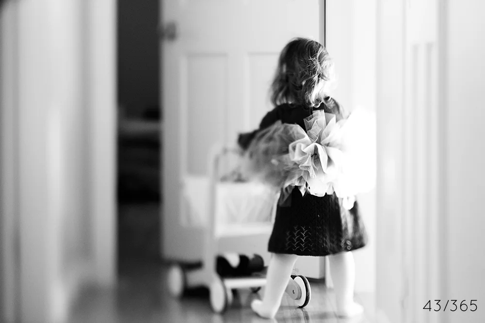 day_43_2013.jpg