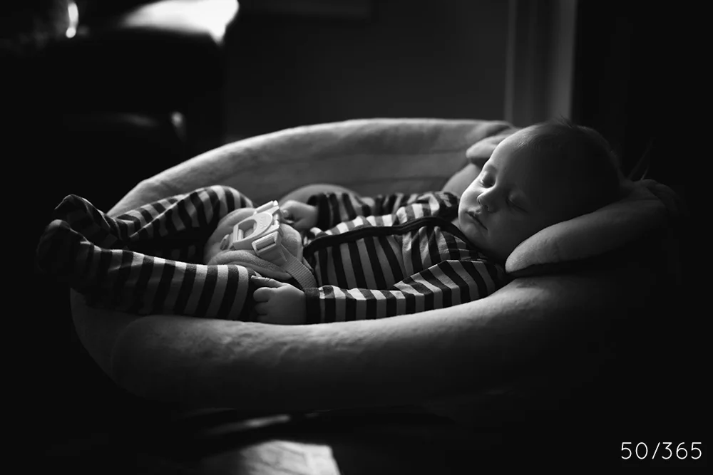 day_50_2013.jpg