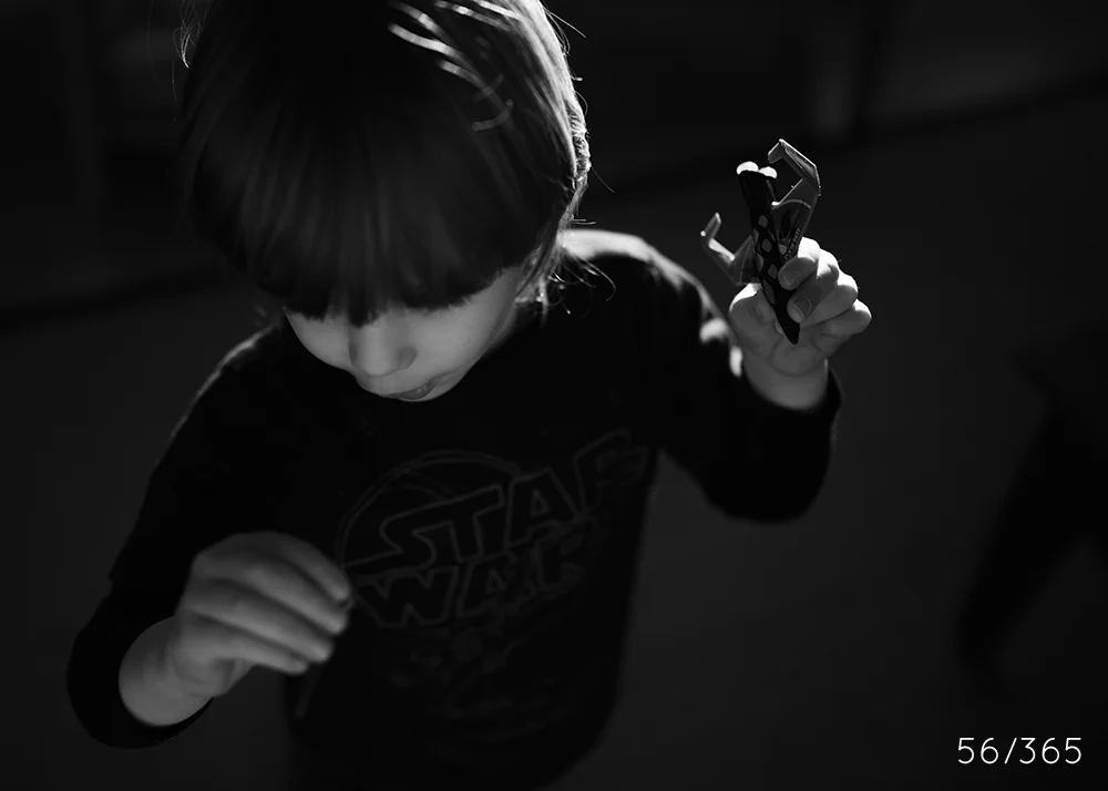 day_56_2013.jpg