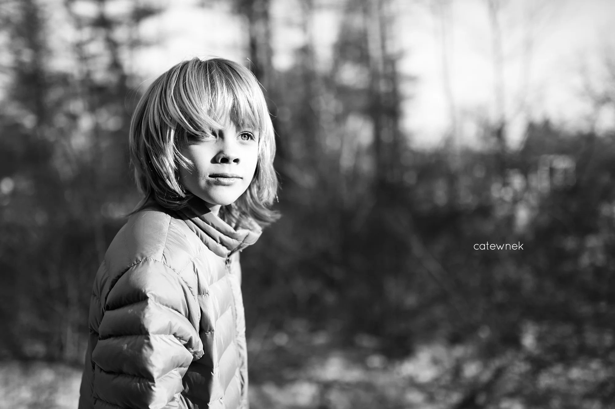 tucker_facing_light_rays_bw.jpg