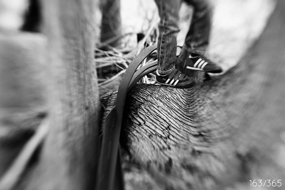 day_163_2013.jpg