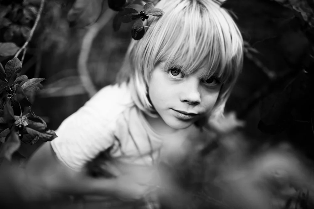 boys_branches_print-18.jpg
