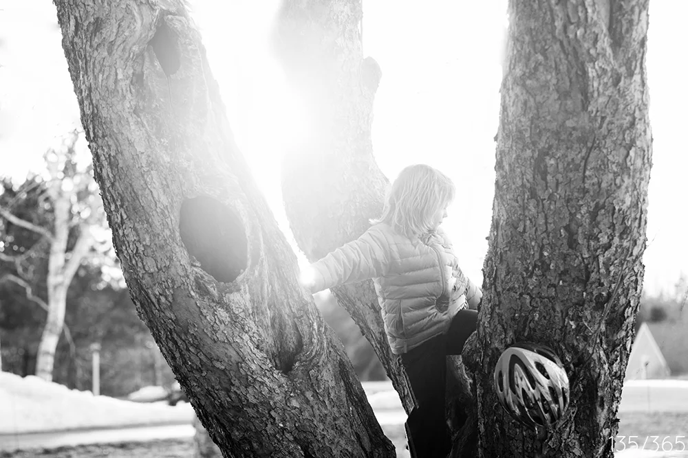 In your favorite tree, golden hour. I just love how you hung your bike helmet on a branch. You hadn't done that before. 