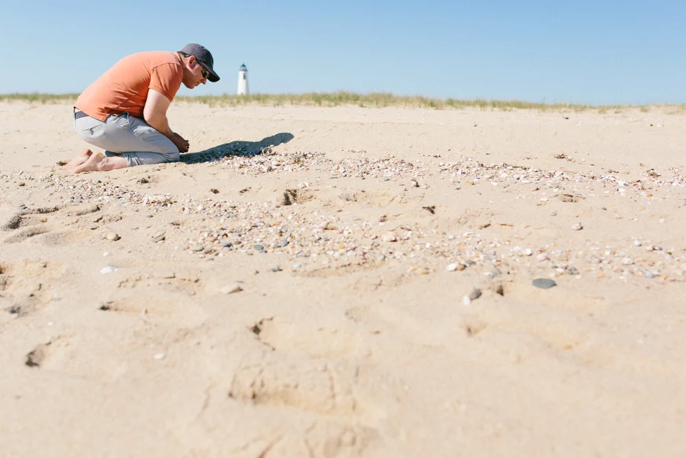 194/365 Scanning for shells on the Coskata-Coatue Wildlife Refuge