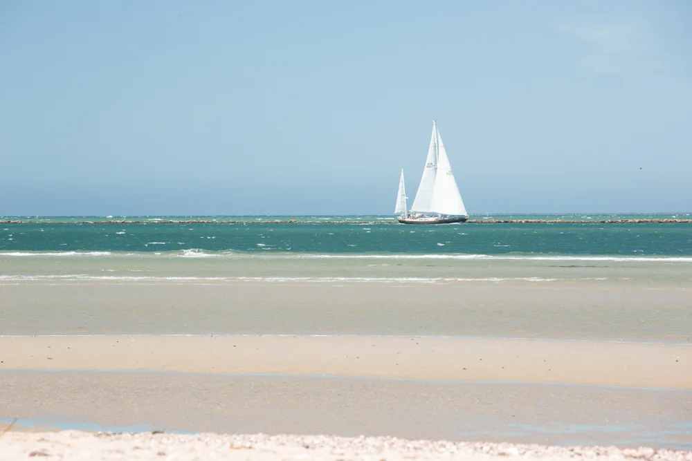 193/365 Last boat in the Figawi race passing Jetties beach. 