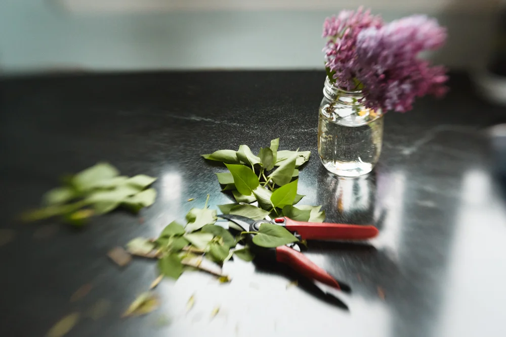 199/365 Arranging lilacs after going for a walk.