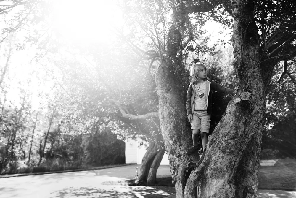 boys-branches-26-.jpg