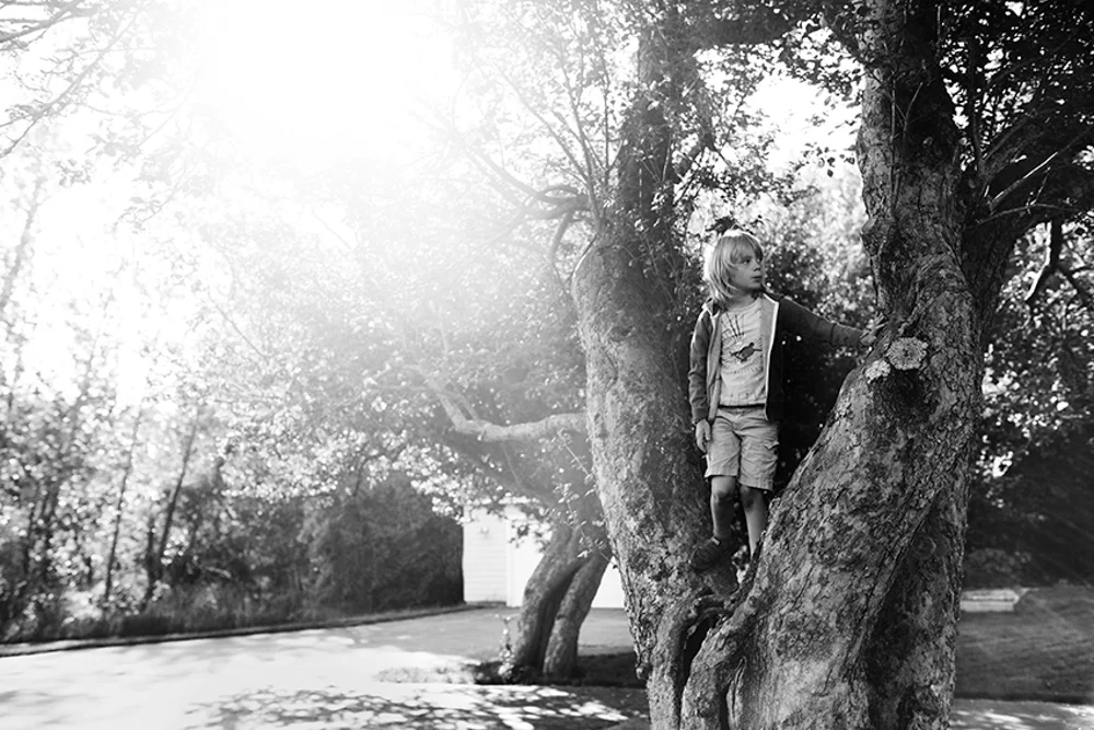 202/365 In your favorite tree in the morning.