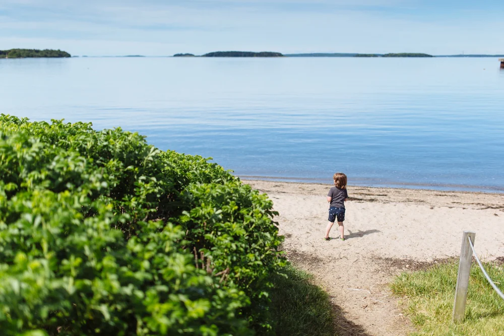 211/365 merrymeeting bay, mitchell field, harpswell - waiting for your friends