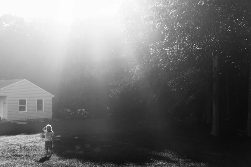 218/365 morning rays of light which you were excited to photograph too