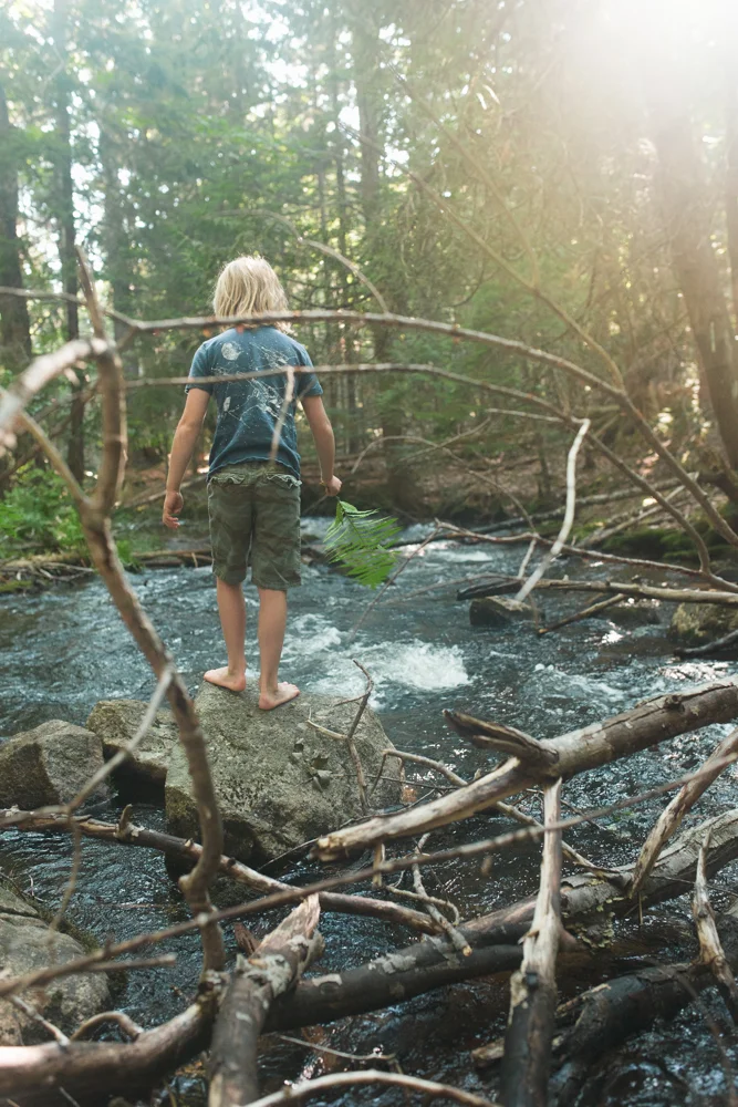 241/365 exploring the creek past the fish ladder