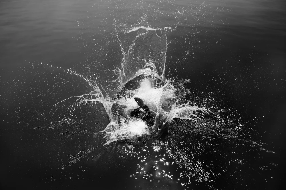 cate_wnek_splashes-6.jpg