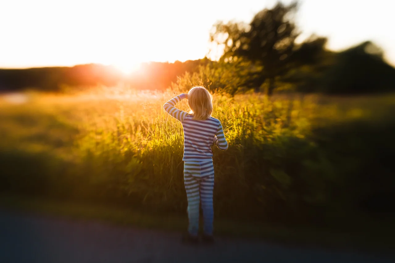Favourites: 'The Summer Day' by Mary Oliver