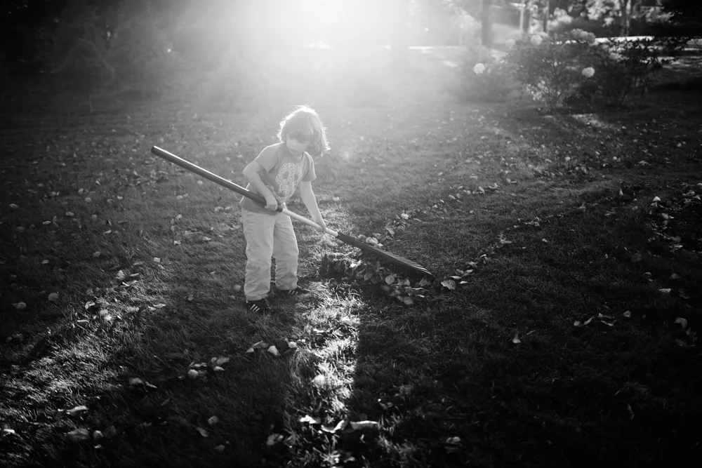 331/365 working on your leaf pile some more after school before sunset