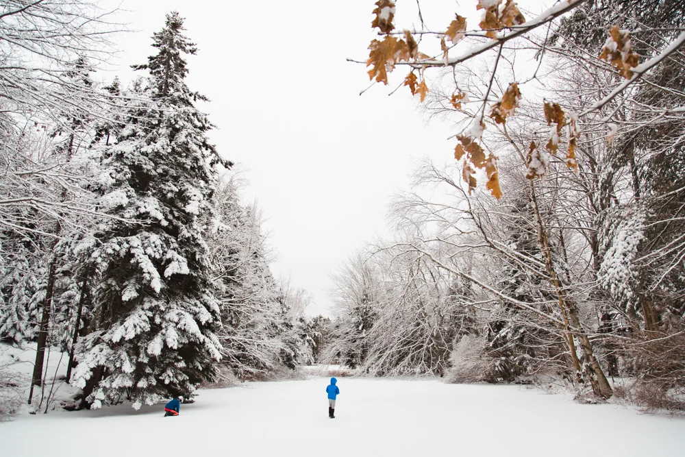 1.4.15 | Finally a winter wonderland to wake up to on your very last day of Winter Break 1. The snow was covered in a layer of sleet. We went to the pond to explore. Hope to skate here soon. f 4.5| ISO 640 | 24mm | 1/1250