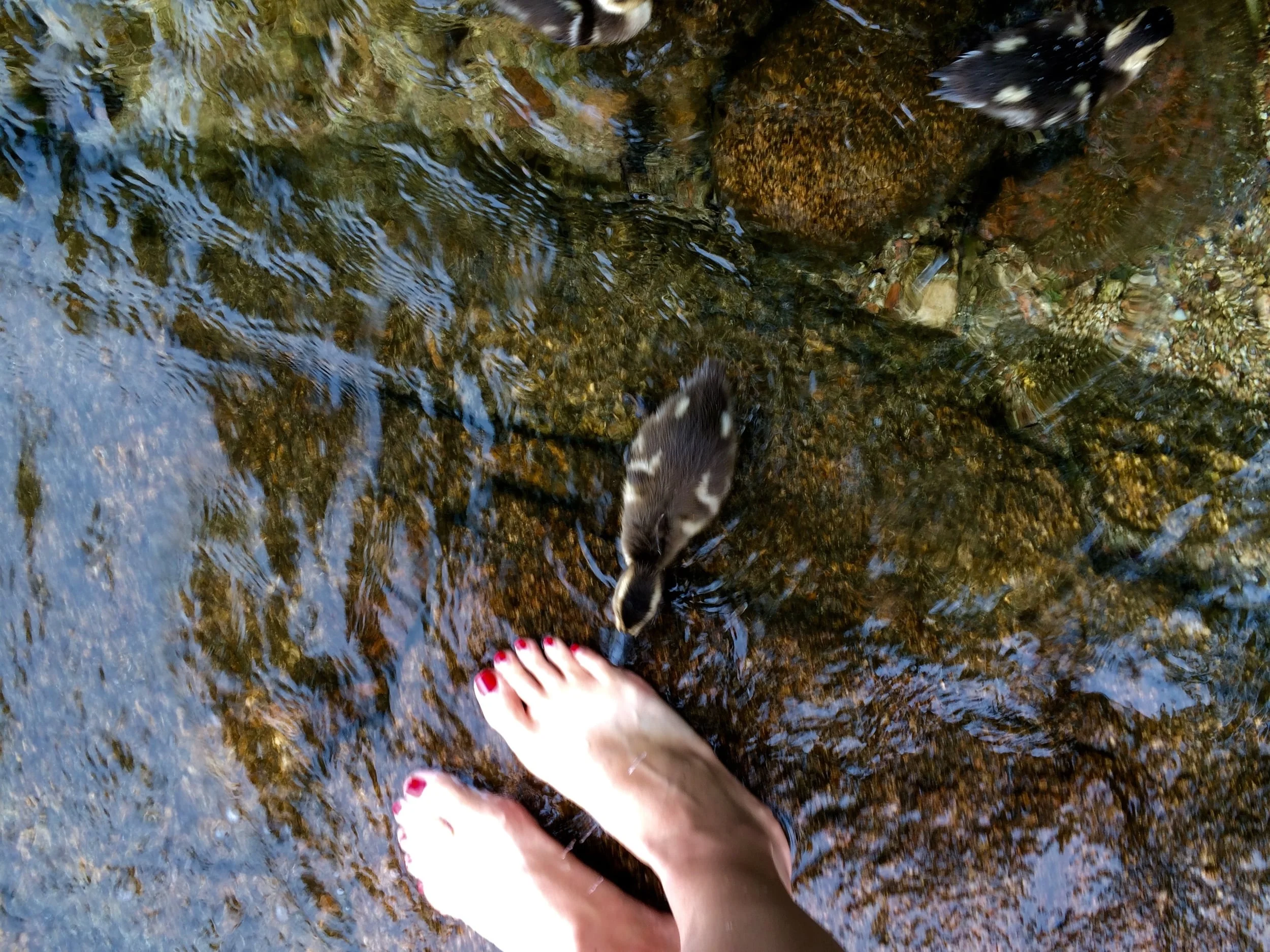 Tickling My Toes