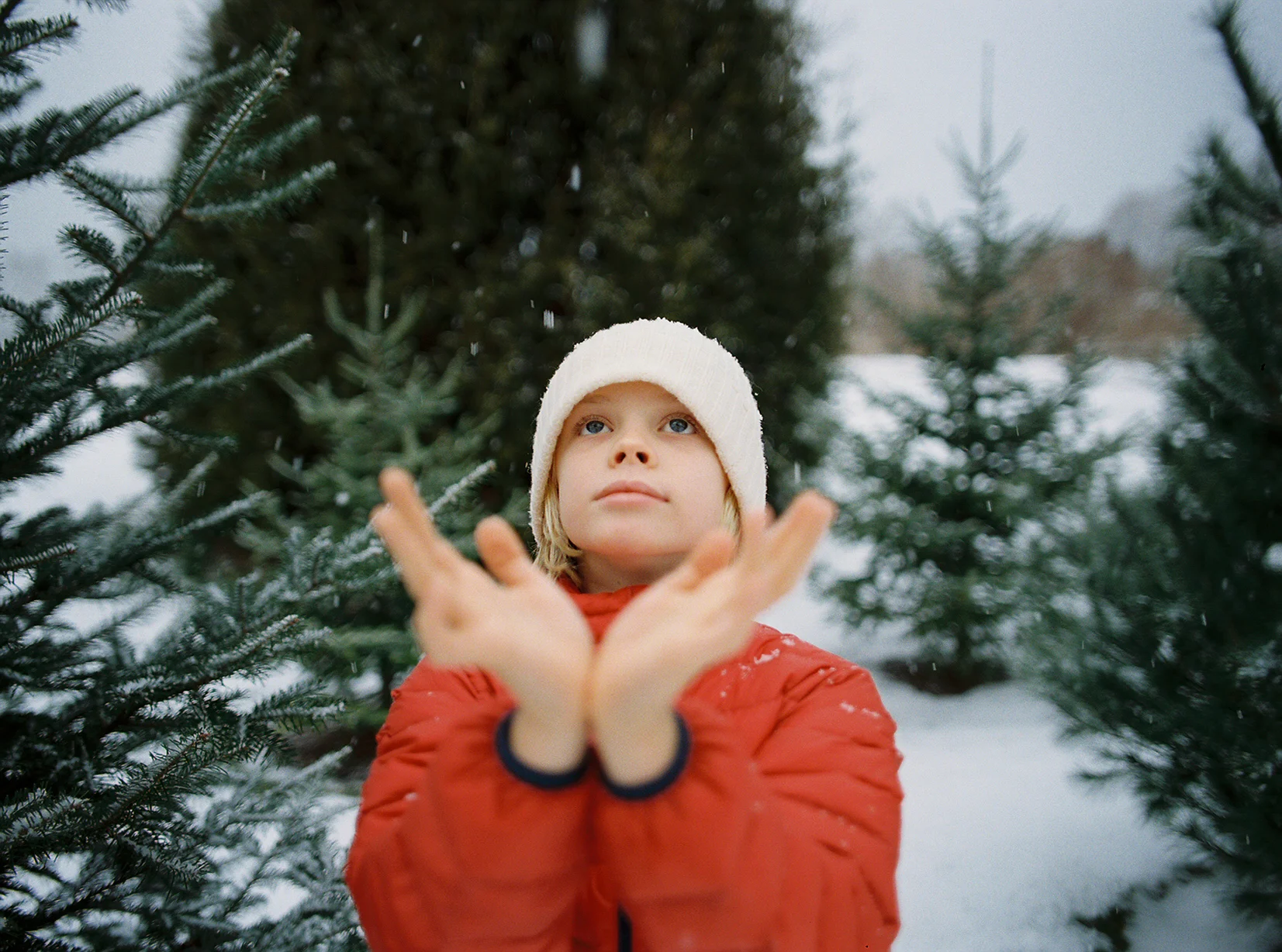 9/366 | Pentax 645N | Portra 800