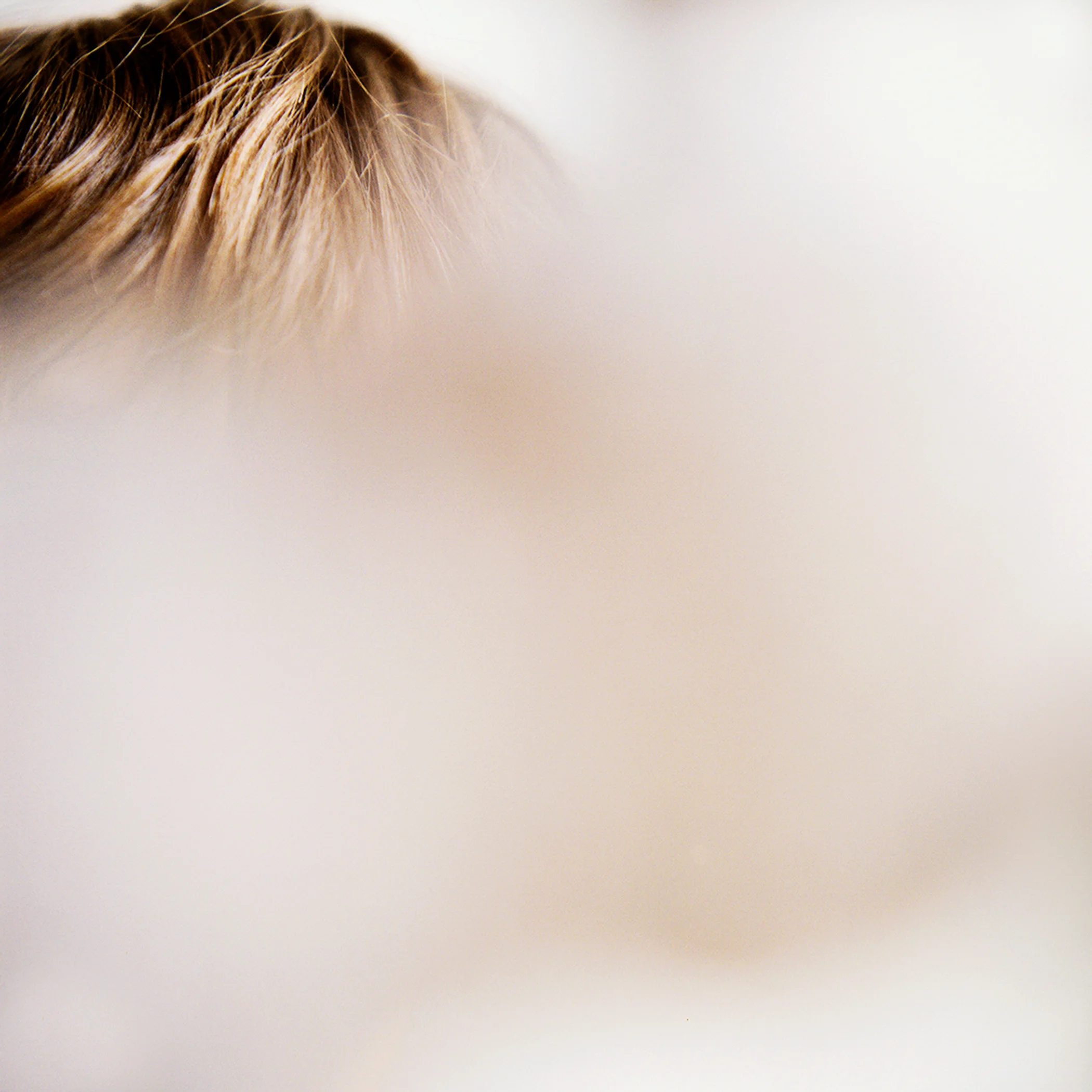 catewnek-catewnek-468619W-R2-E023.jpg