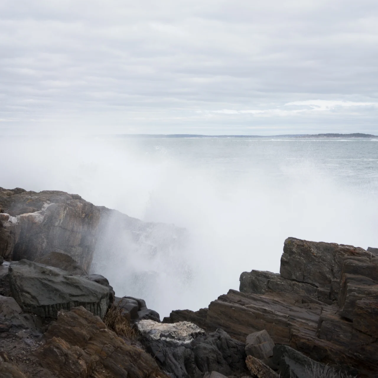 catewnek-_DSC0647.jpg