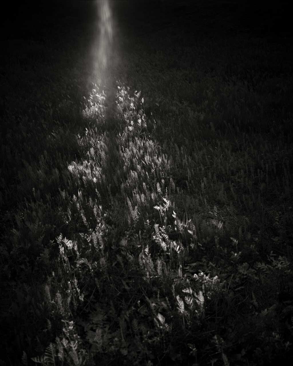 06_WnekCate_Untitled.jpg