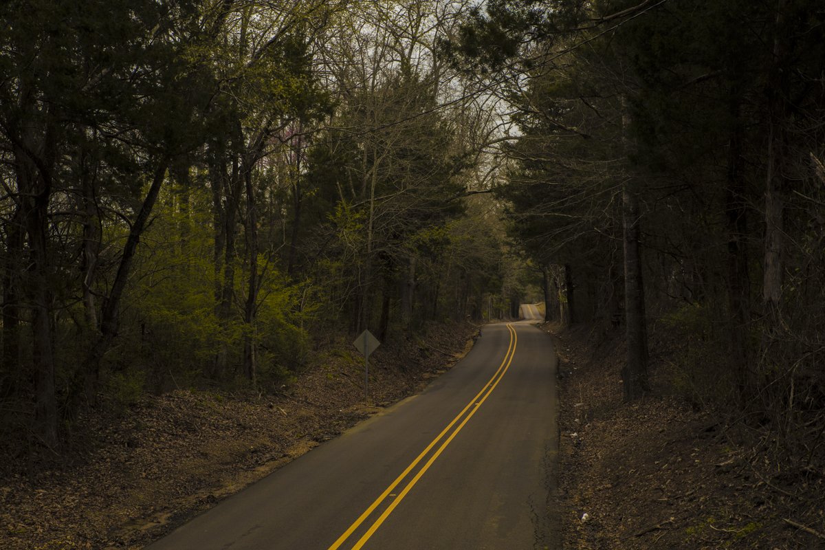 The Road to Oxford Mississippi, 2018