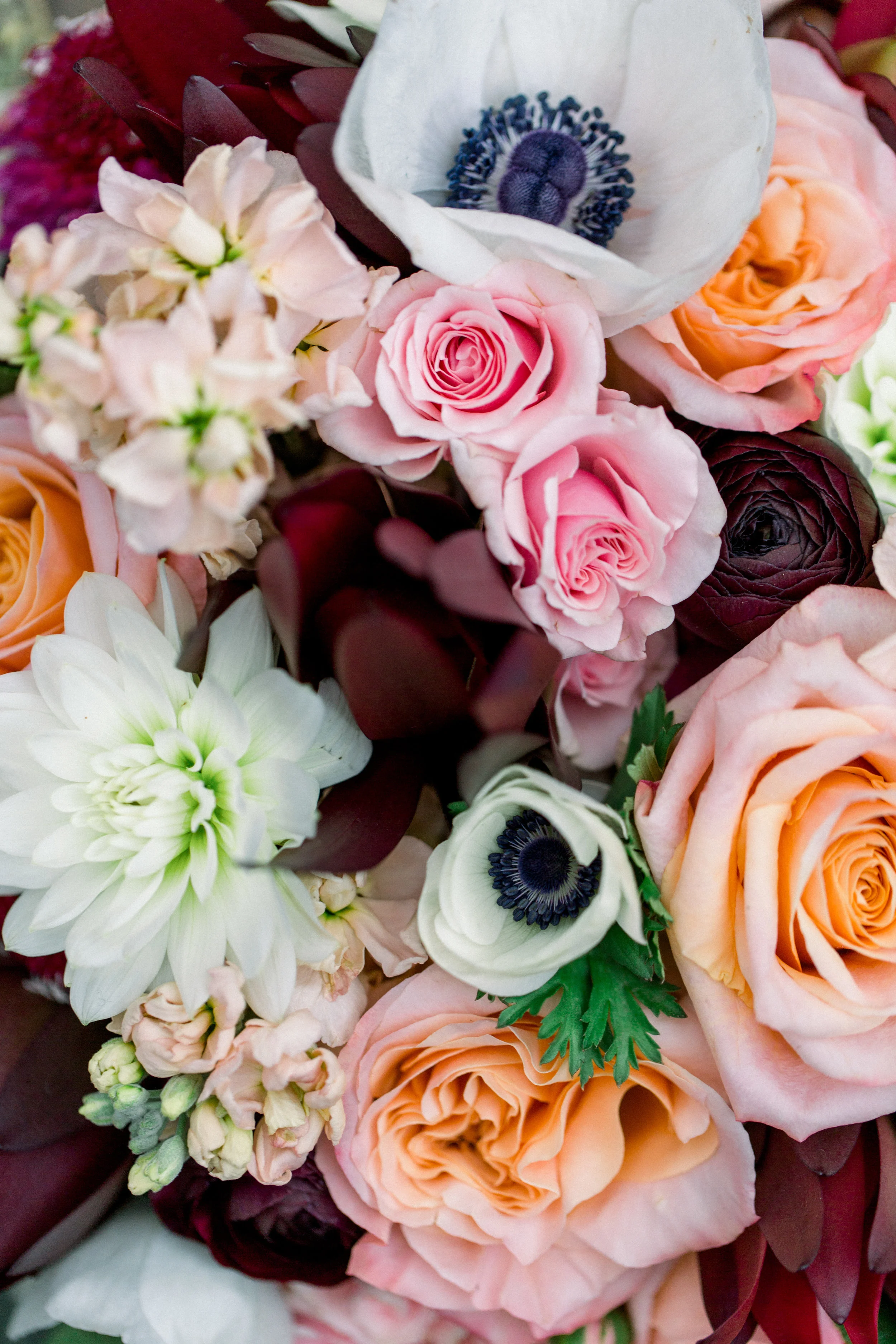 ReaserWedding21.jpg