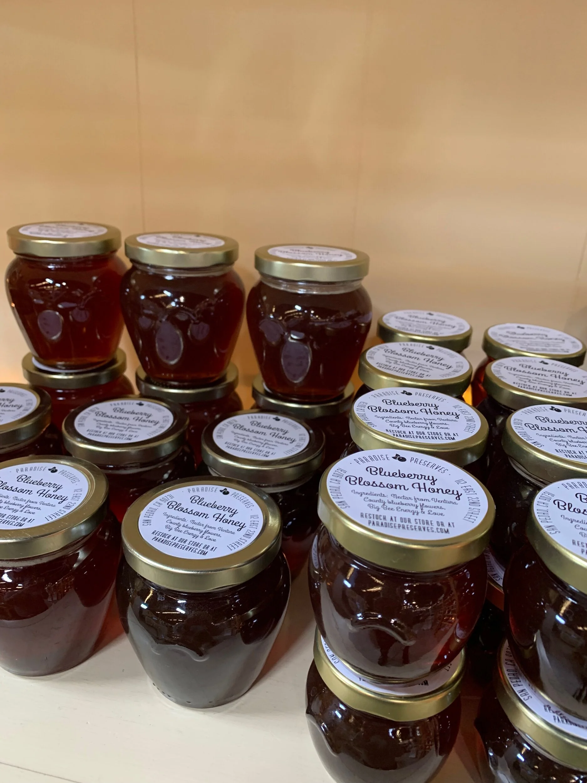 595CF155-CBB5-47A6-A5FB-668BA12848EC