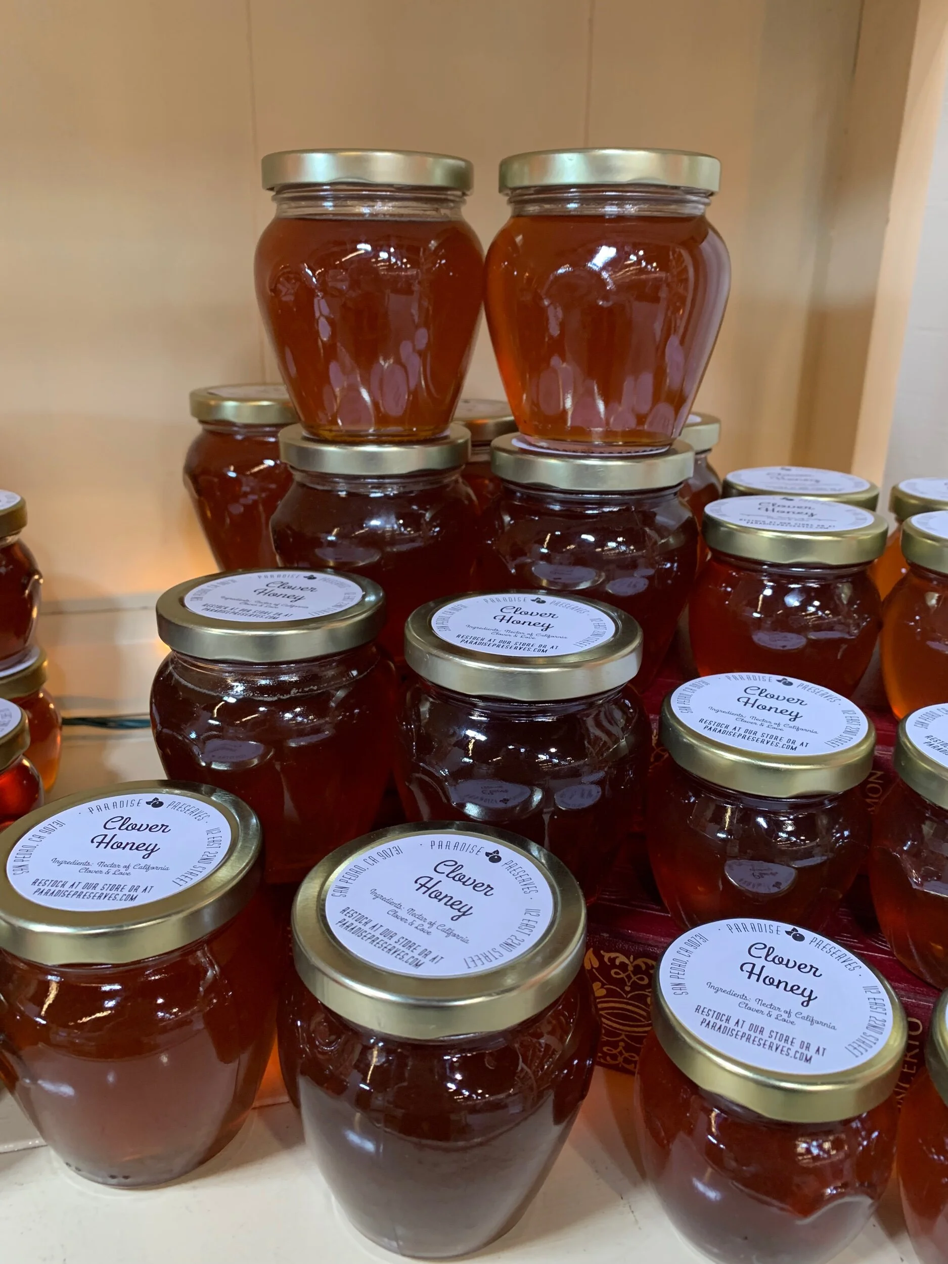 62D0F7A1-66D2-4D7A-883E-636C581E19AD