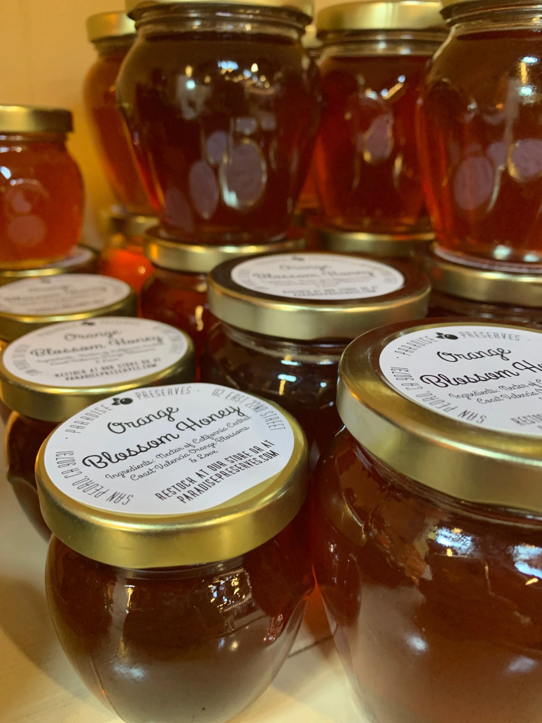 EF78688C-83A4-45CF-8467-6C4F410461A1