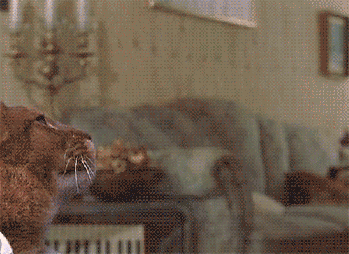 unnamed.gif