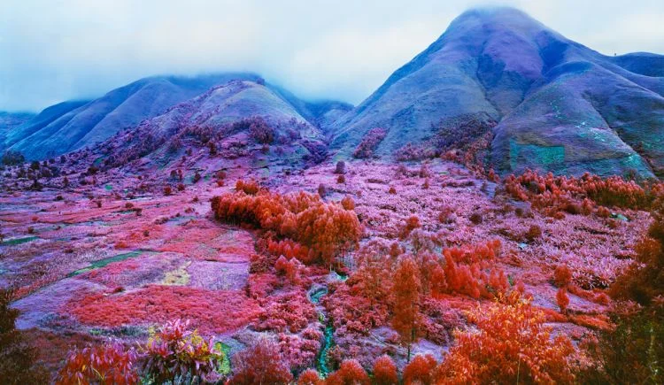 Richard Mosse Everything Merges with the Night 2015 digital c-print Represented by: Jack Shainman Gallery