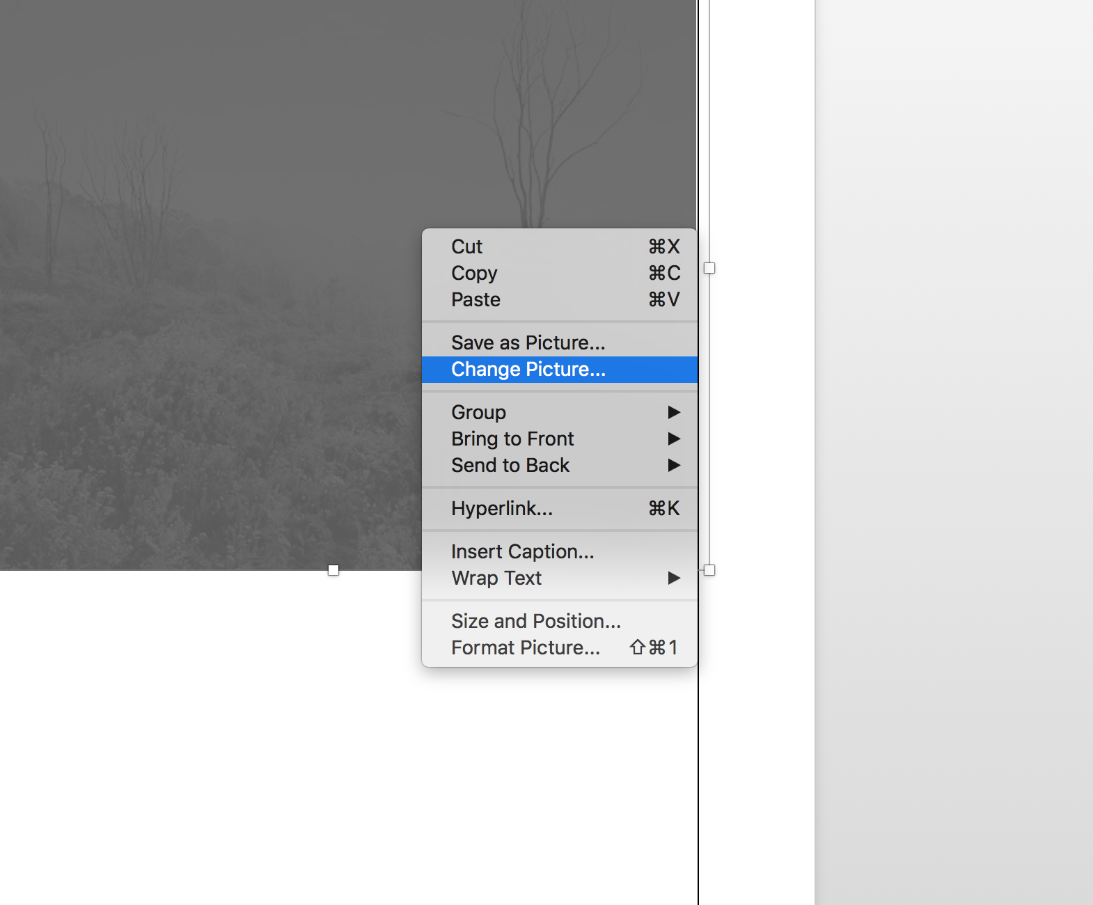 ^^^^ how to change the existing picture in MS WORD document to your own image