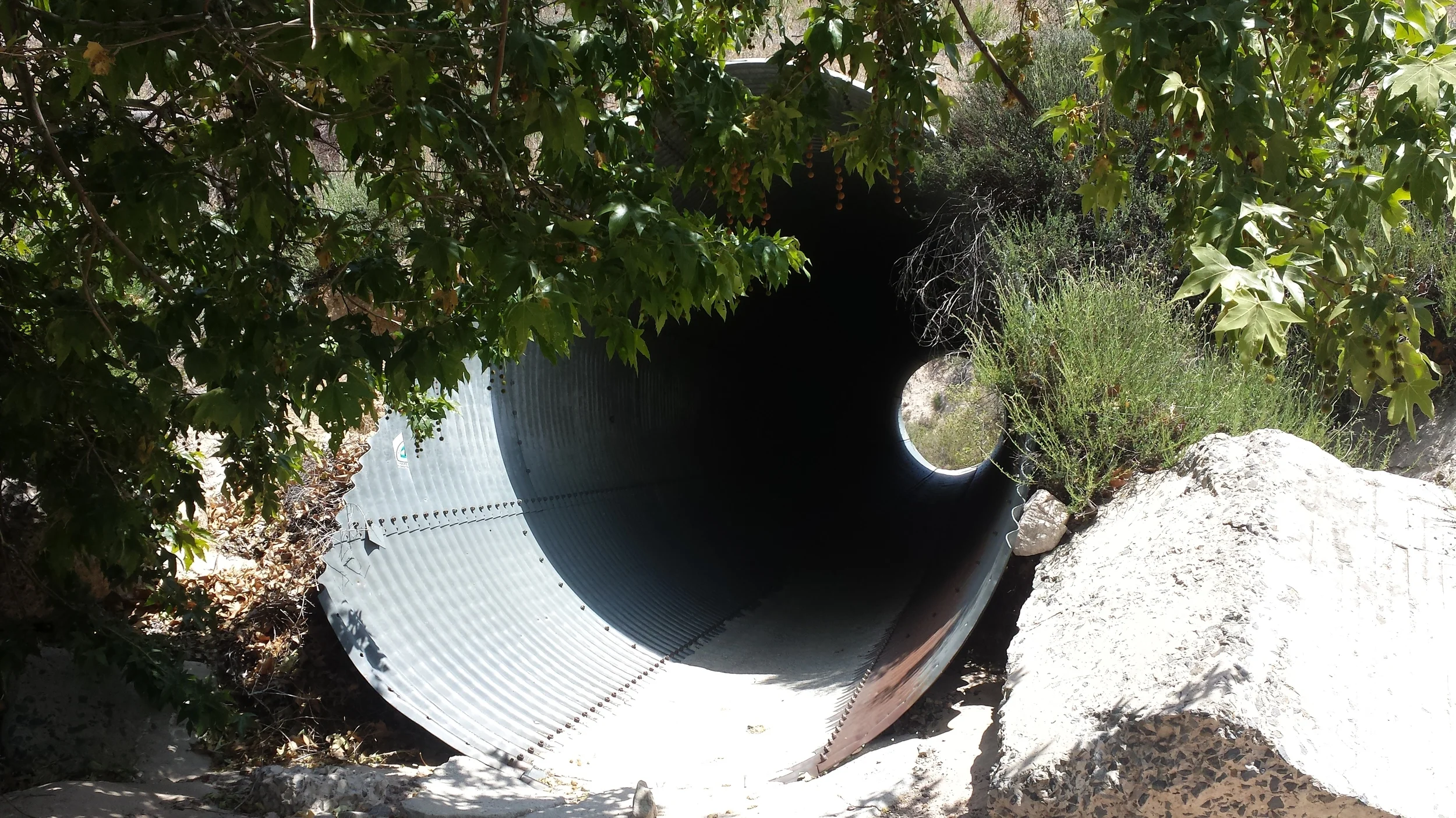 Over the train tracks and through the culvert.