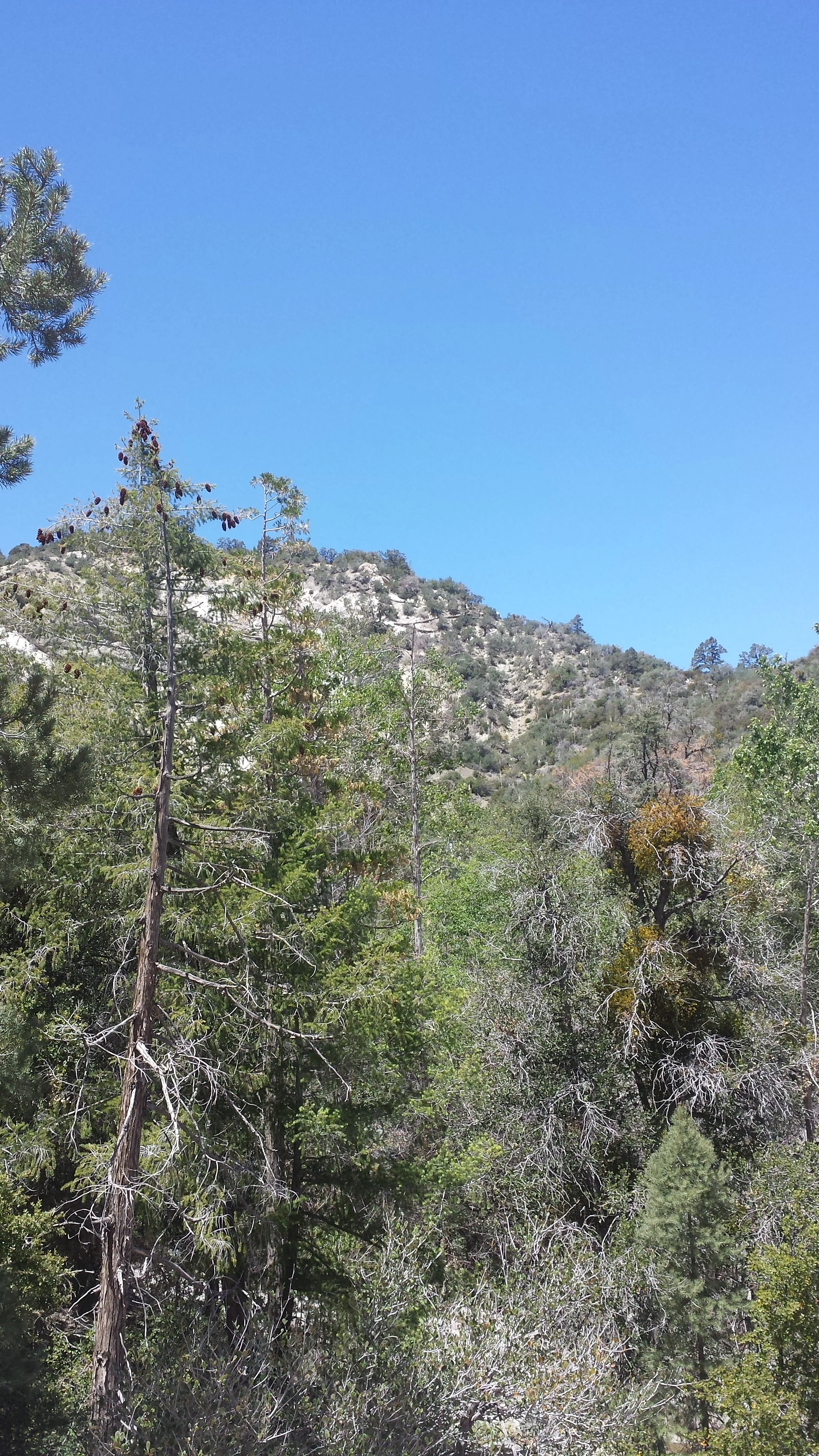 Up to Devil's Chair. Yes, those are metal reinforced switchbacks.