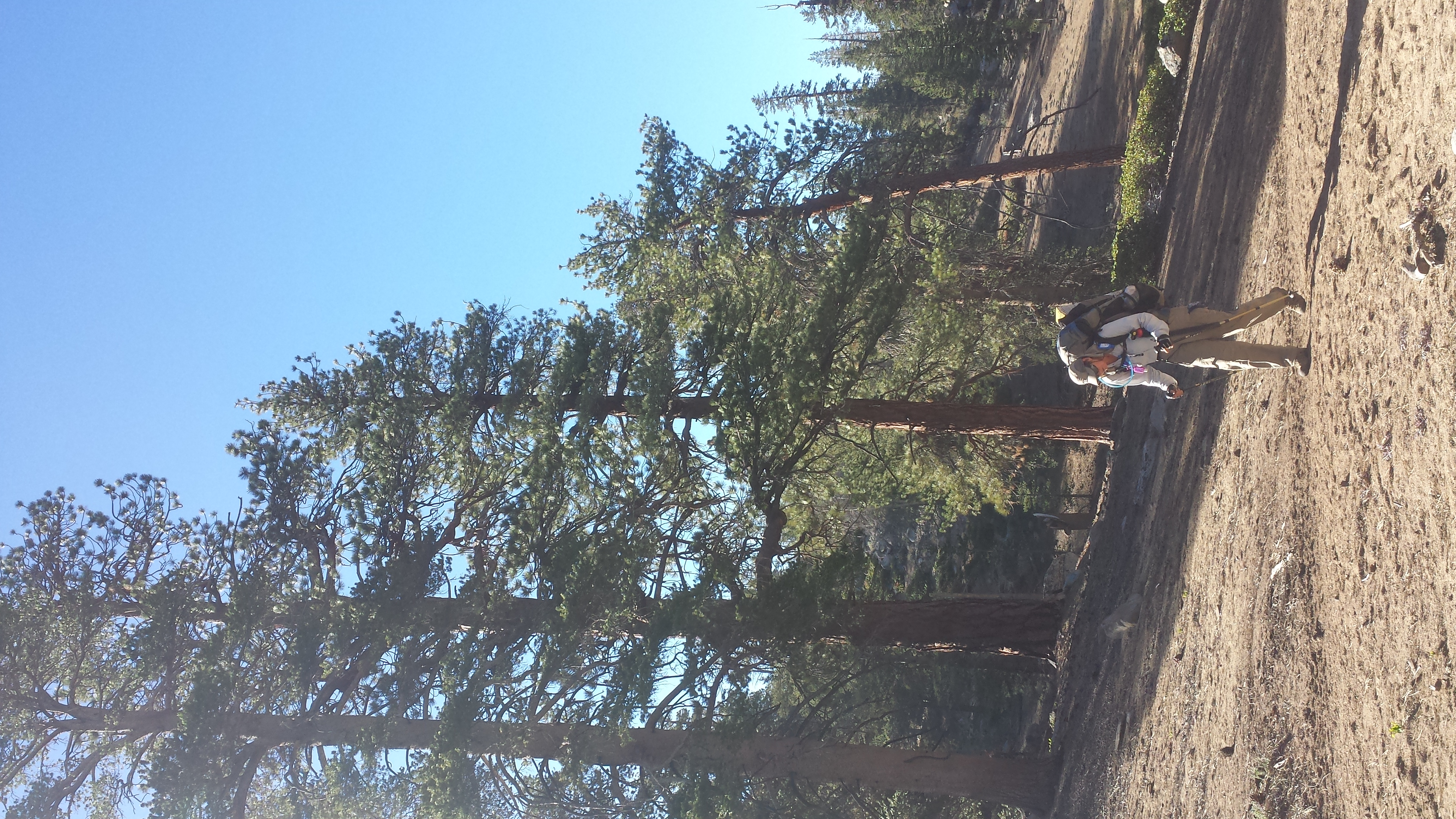 Pit Stop stomping down the trail