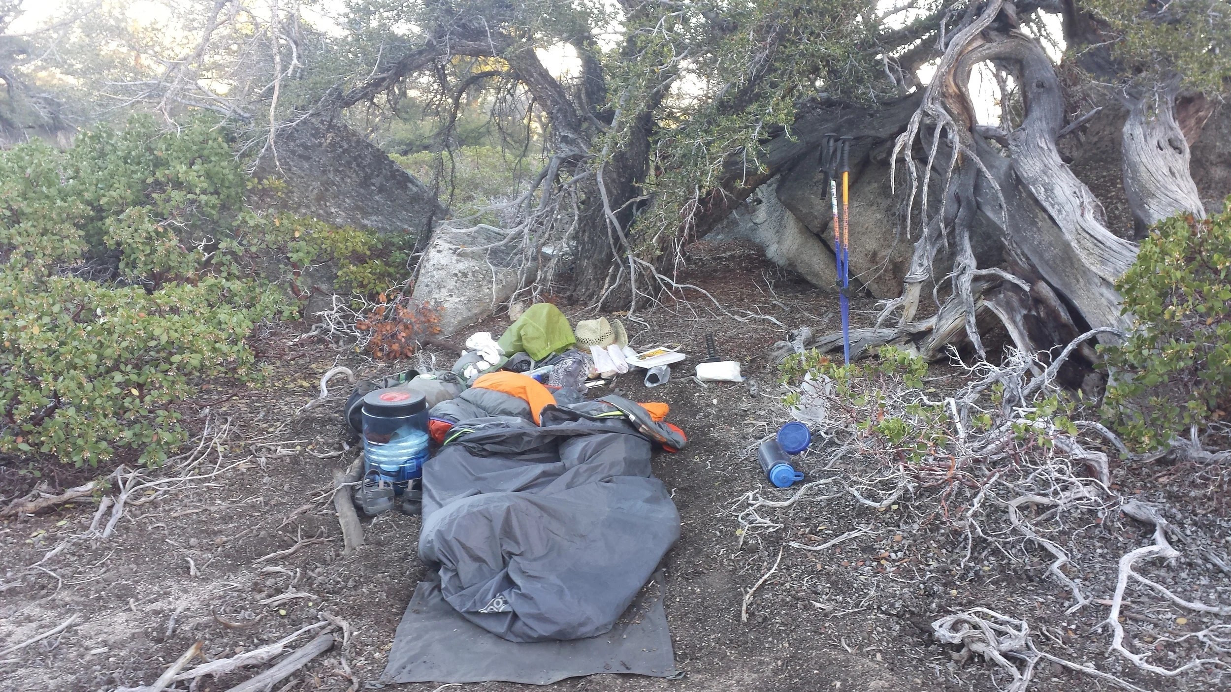 frozen camp