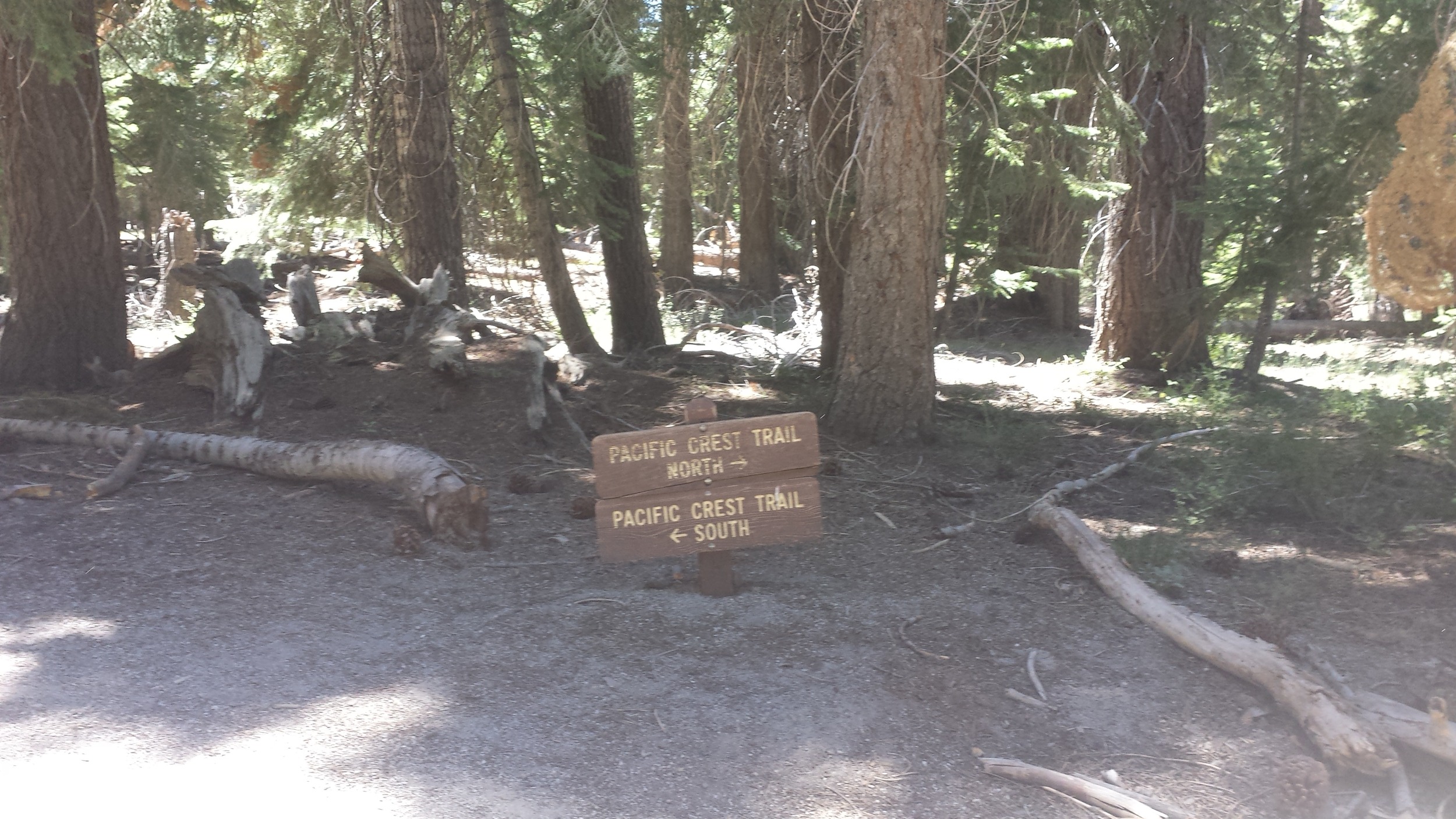 one of the few signs in this area