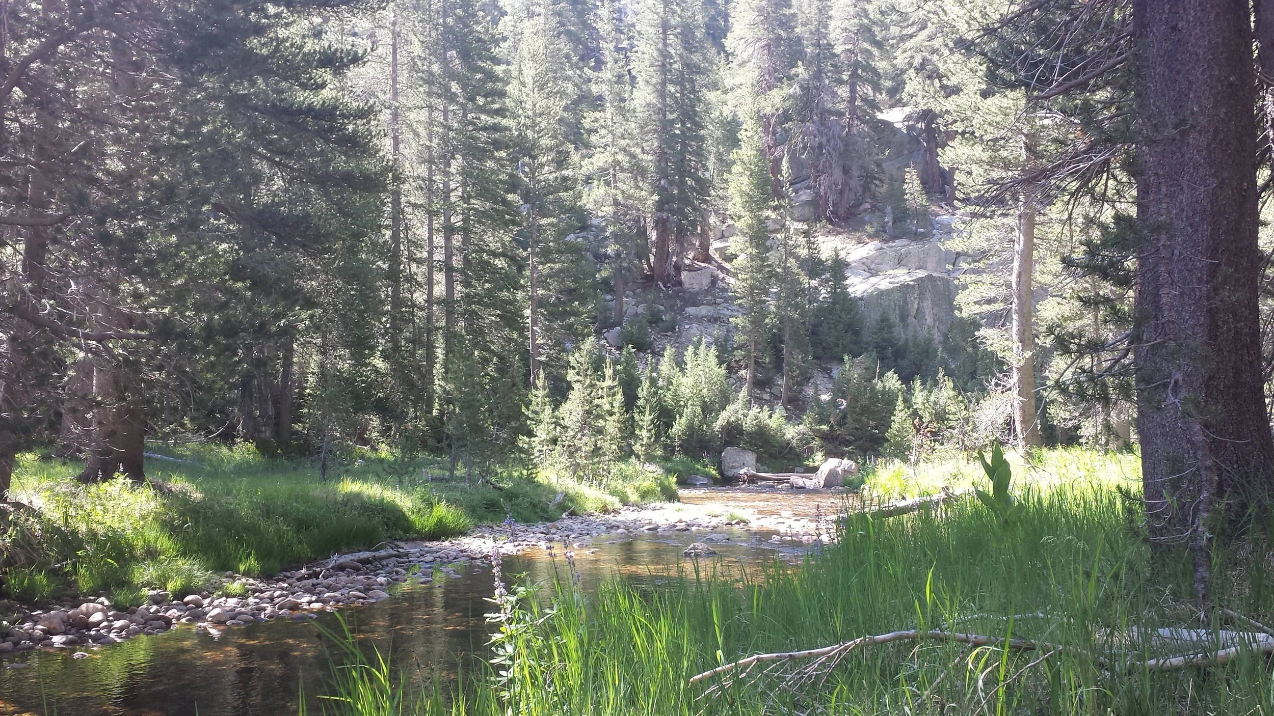 20140710_094448.jpg