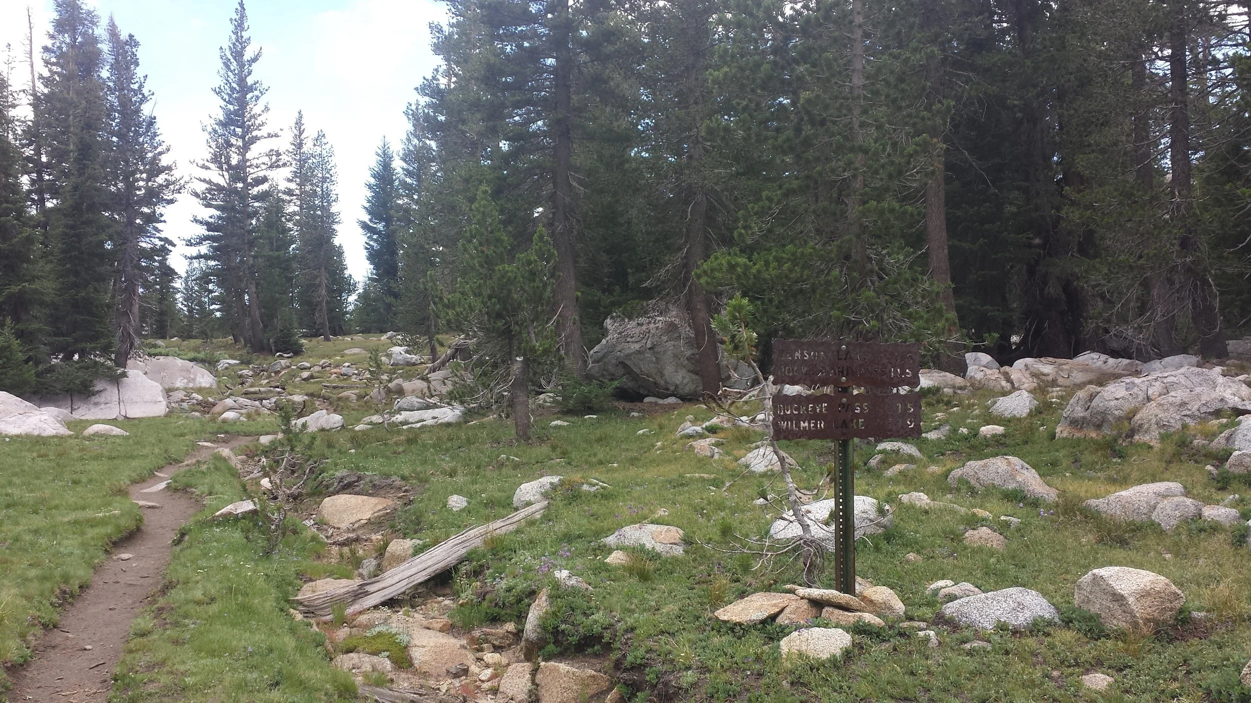 20140710_145546.jpg