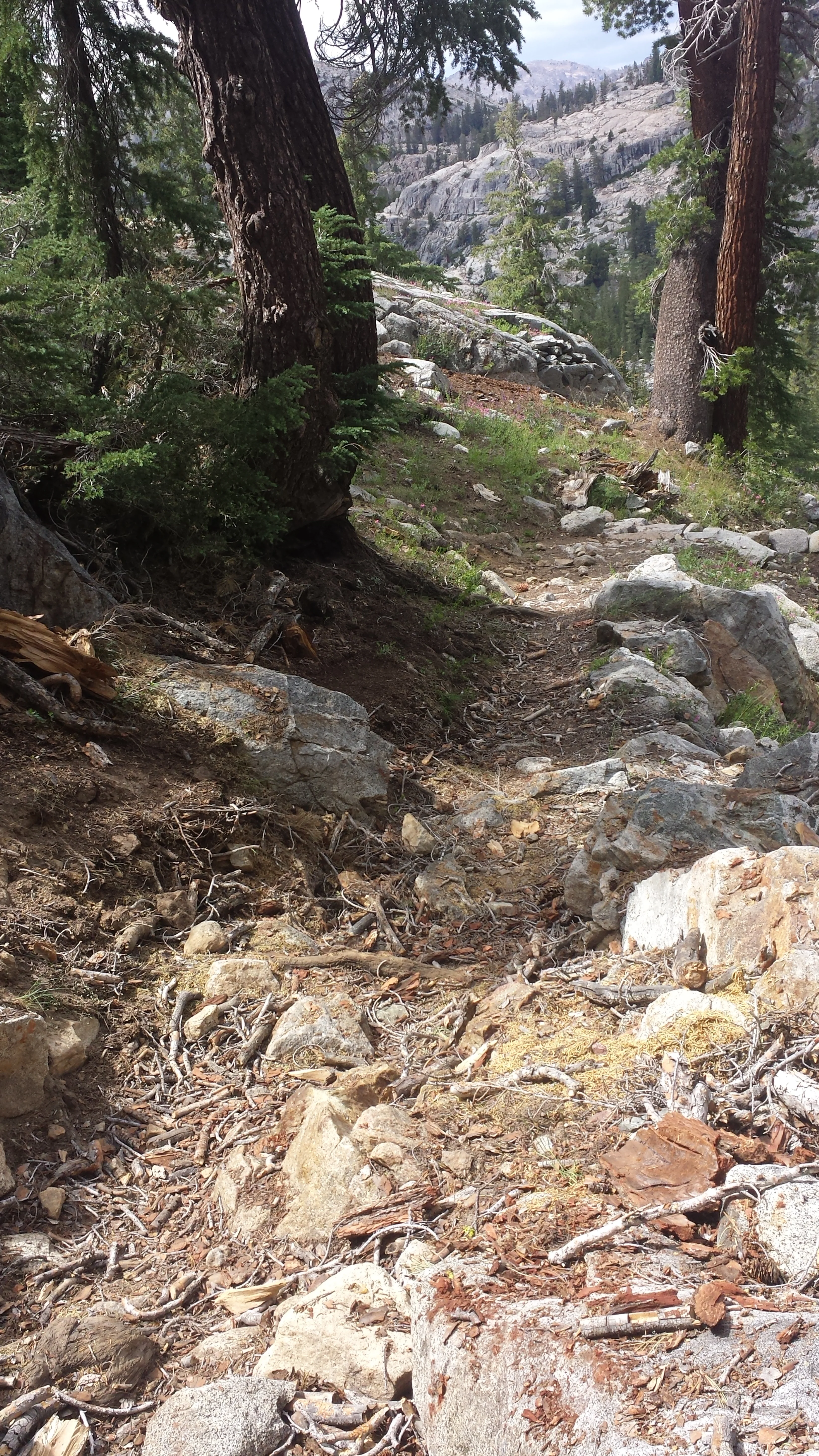 20140710_151901.jpg