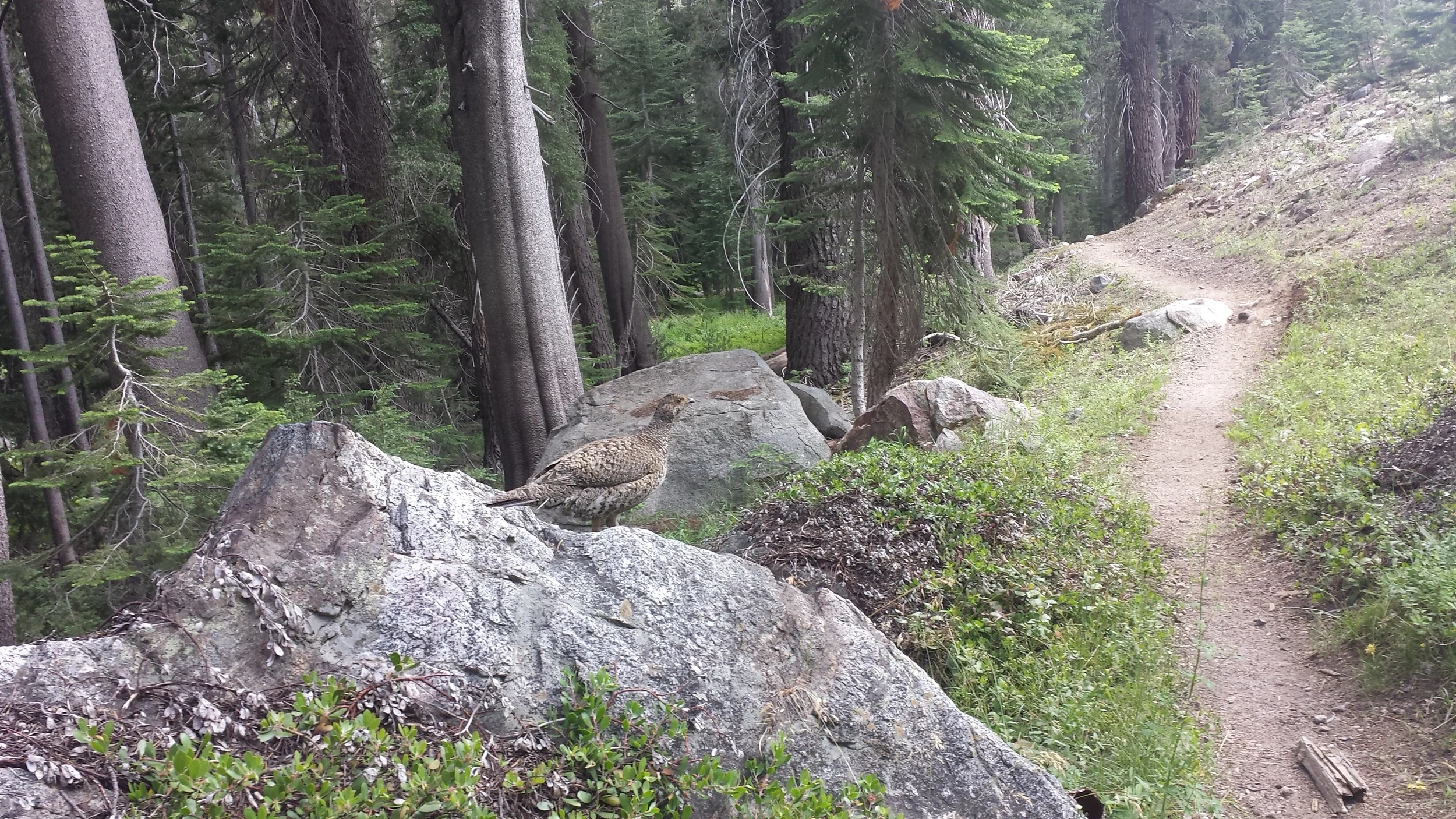 20140710_160129.jpg