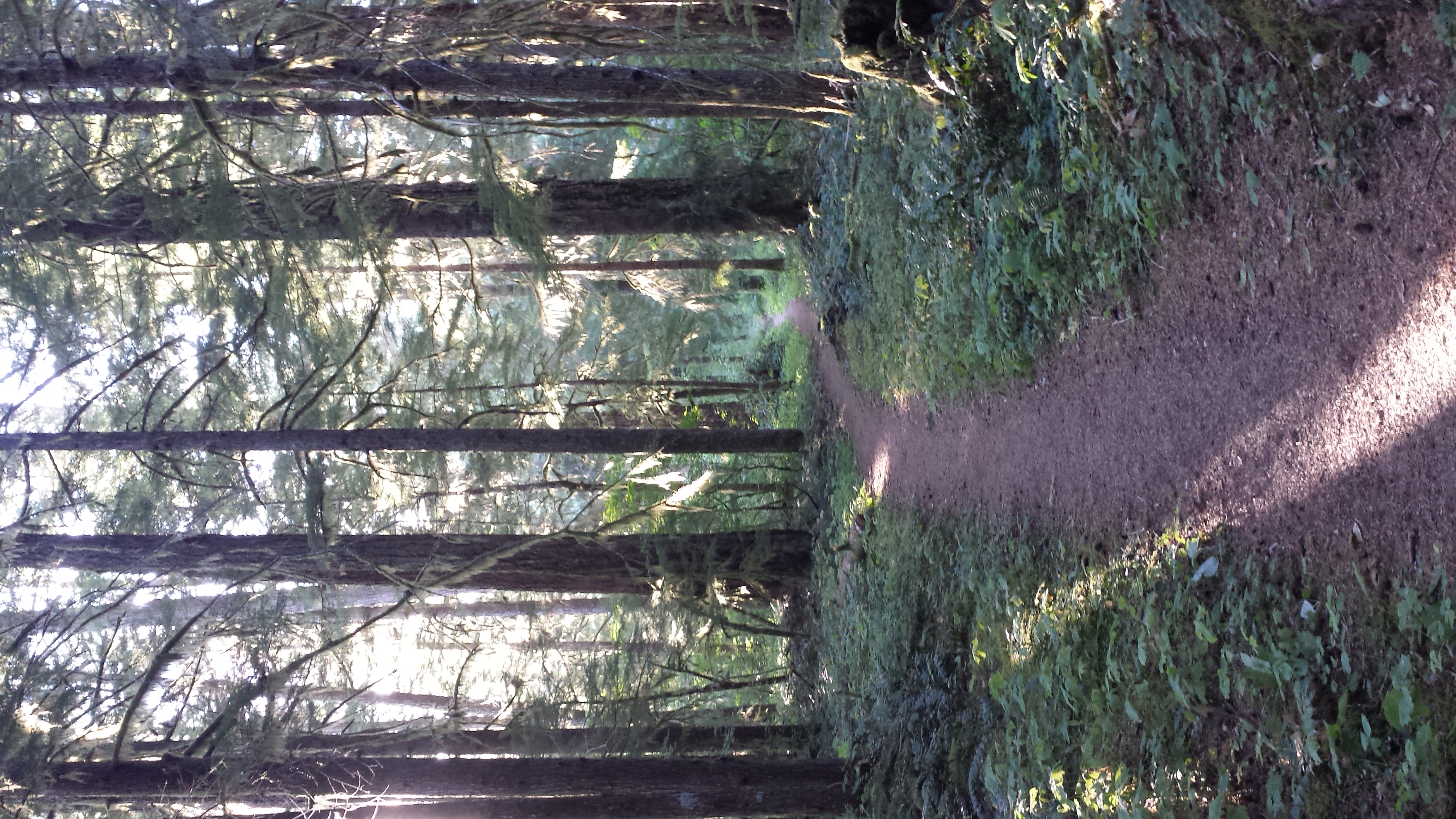 ok, so washington can be purdy