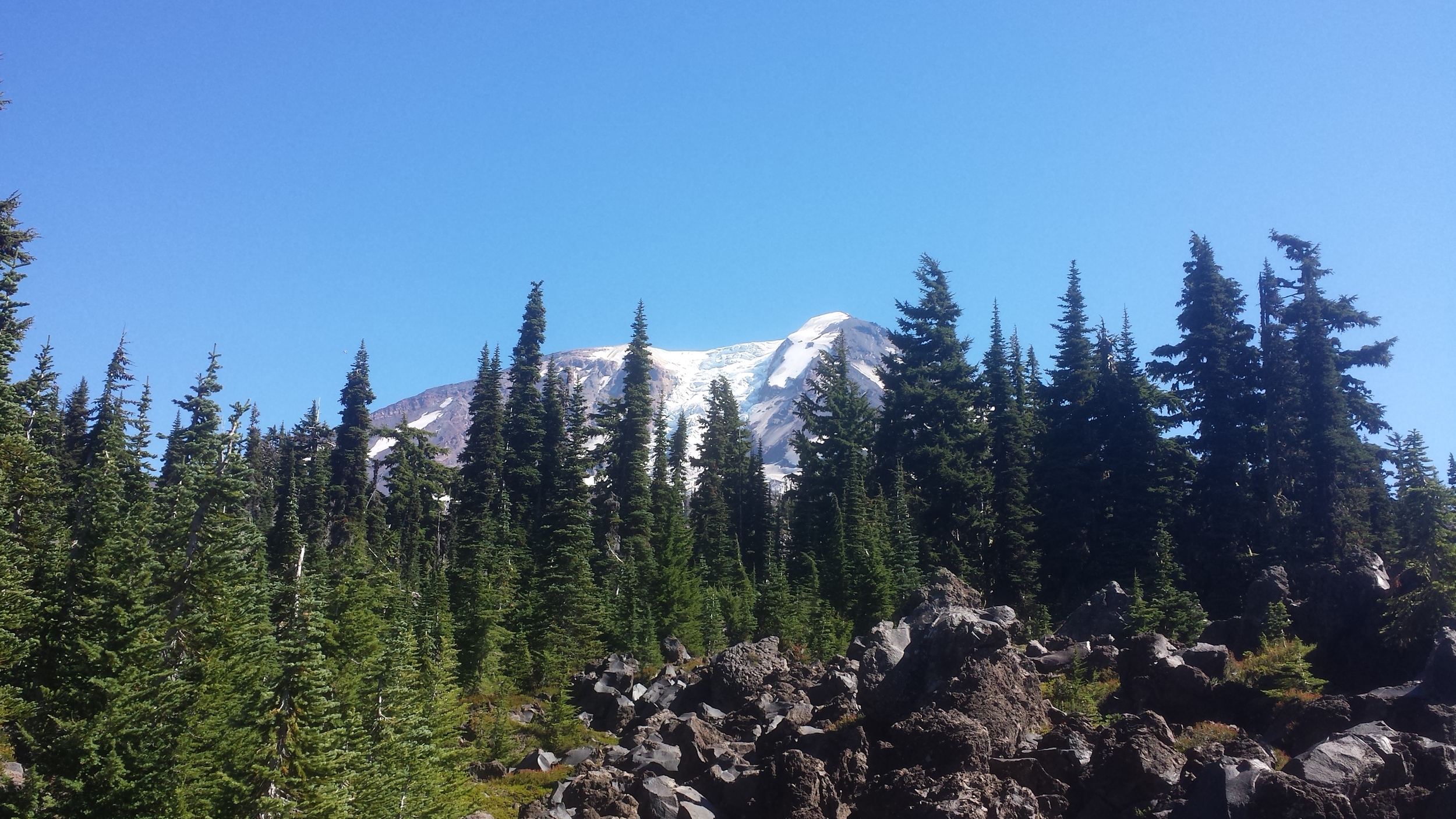 mt adams glacier