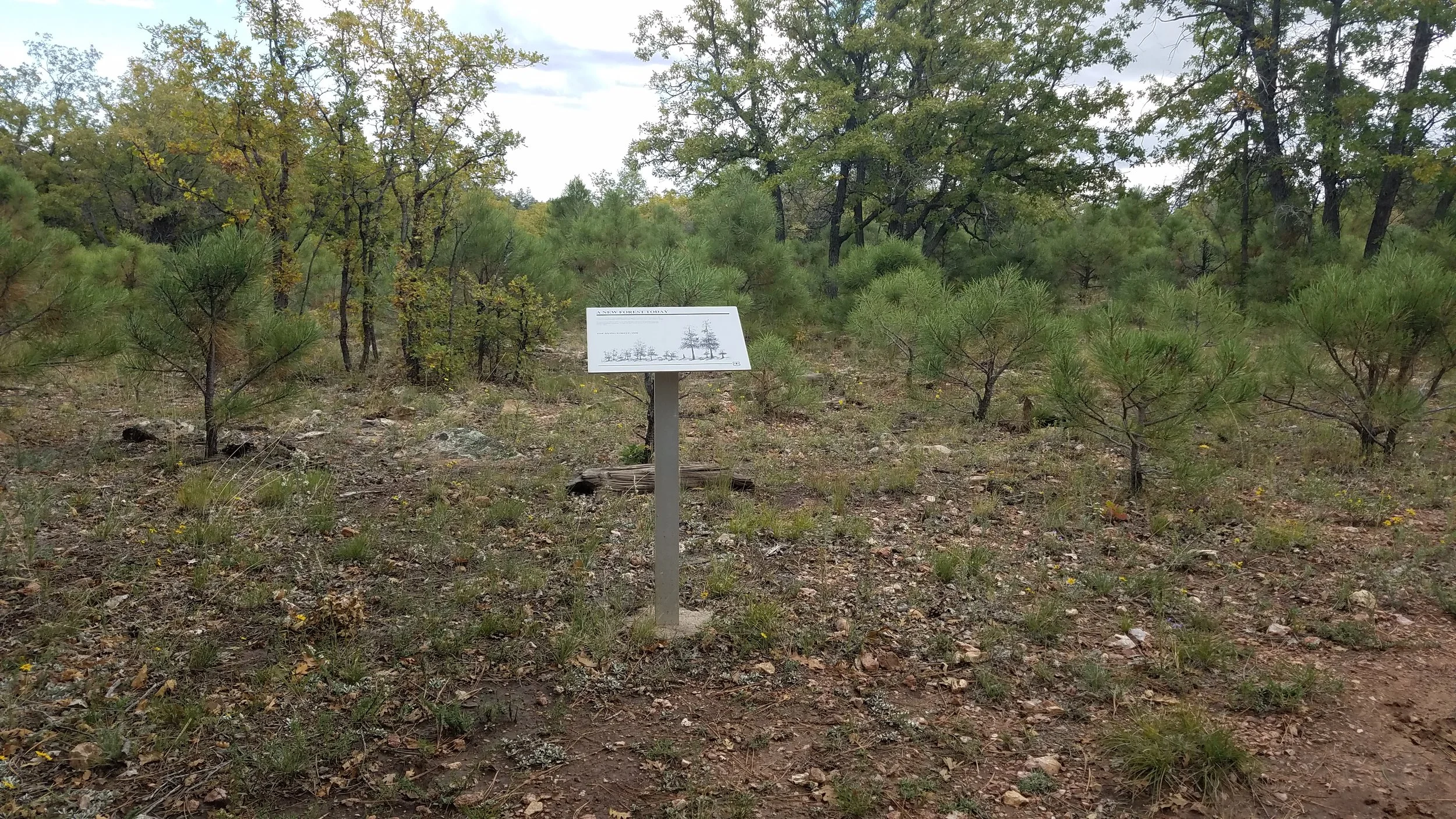 Hilariously, there are interpretive signs all over the place in random spots