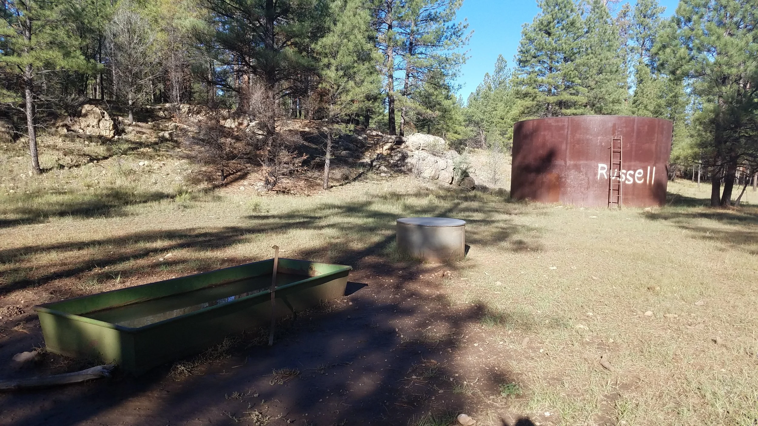 The Russell Tank trough, a few miles from the big dirt tank, did manage to collect some monsoon water