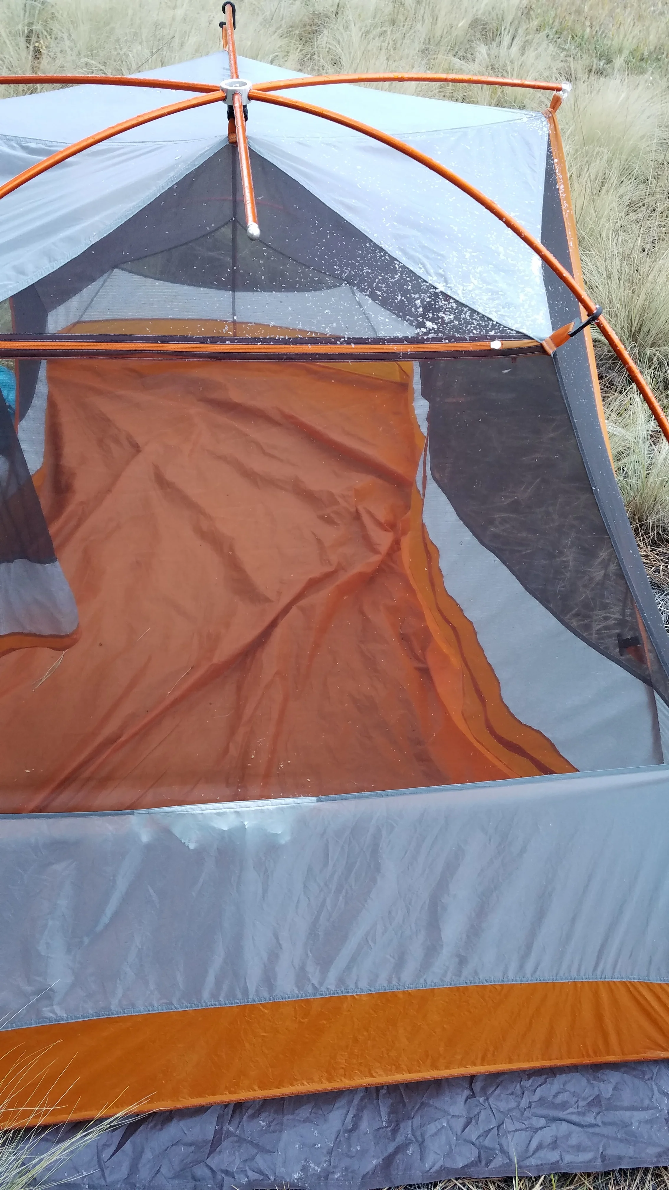 Tent dandruff