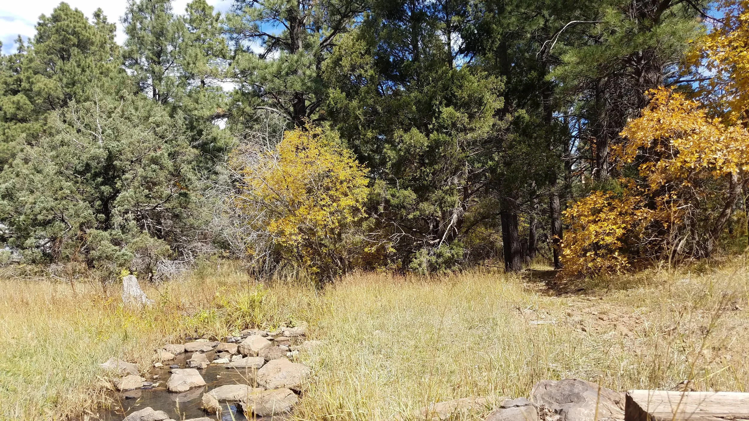 Double Springs