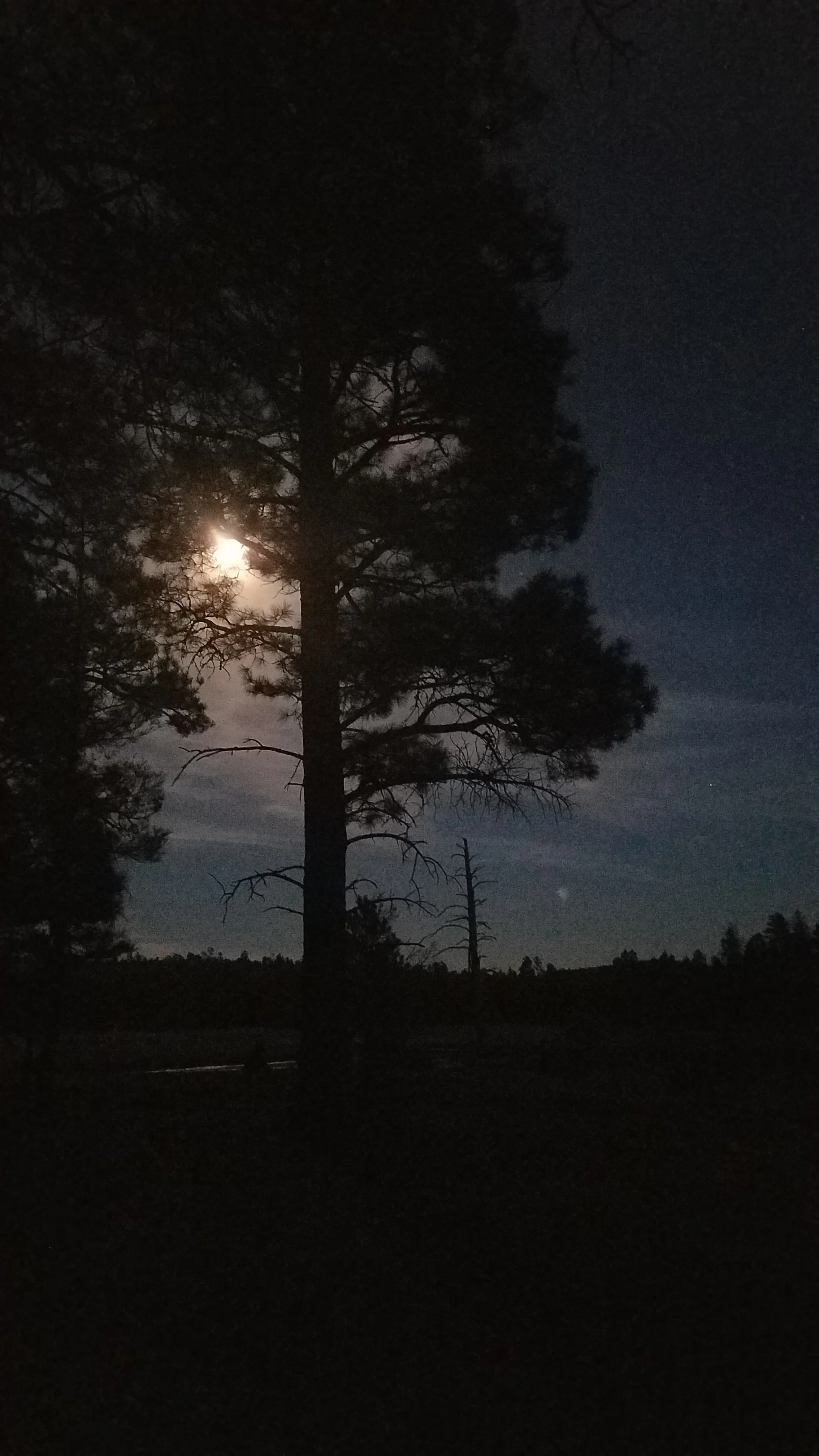 My last night on the AZT...this time, anyway
