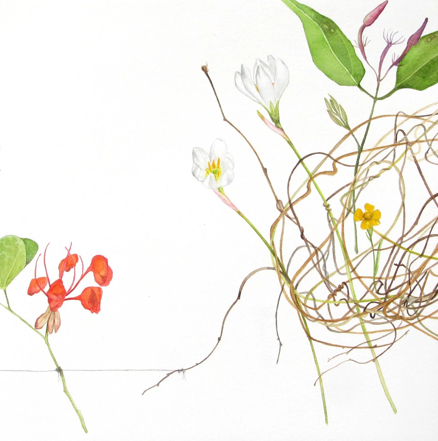 'Three wishes - triptych #1'